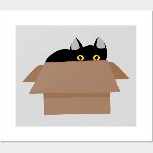 Black Cat Hidden Inside a Paper Box Posters and Art